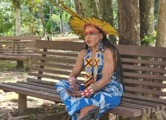 Dia dos Povos Originários: as muitas vozes indígenas que vivem e resistem nas cidades amazônicas