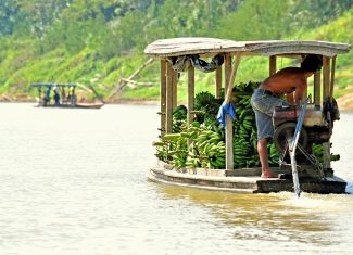 Dia Mundial da Água: rios do Acre se destacam como fonte de vida e sustento de comunidades ribeirinhas e indígenas