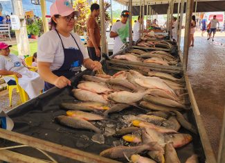 Apesar da baixa procura, feirantes avaliam positivamente a Feira do Peixe em Rio Branco