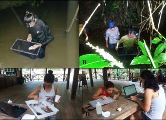 Estudo inédito mapeia 92 espécies de peixes em igarapés da Floresta do Antimary no Acre
