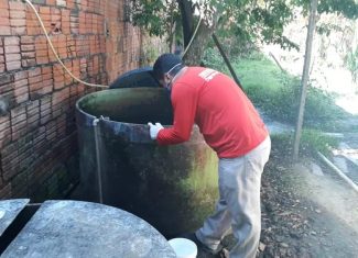 Surto de dengue: casos graves aumentam mais de 600% e Rio Branco prorroga emergência em saúde