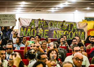 Acre é “péssimo” em proteção a defensores ambientais, aponta Transparência Internacional