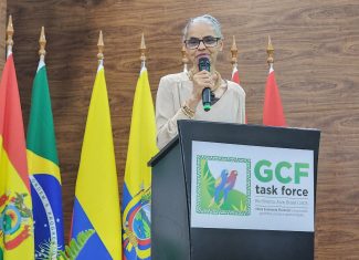 No Acre, Marina Silva critica projeto de lei que flexibiliza licenciamento ambiental: “Golpe de morte”