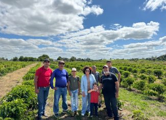Perpétua Almeida visita produtores de café no Acre e anuncia novos investimentos da ABDI