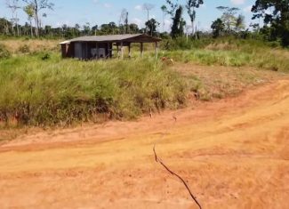Secretário de Educação do Acre é afastado após defender aulas em curral: “Um dia de verão é precioso”; governo se pronuncia