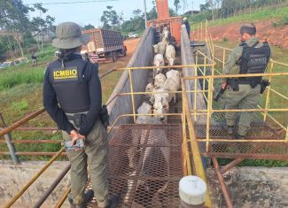 Três pessoas são presas por suspeita de planejar ataque à base do ICMBio na Resex Chico Mendes