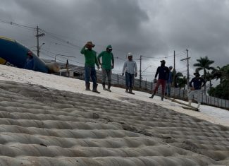 MPF questiona derrubada de mais de 200 árvores para obra da Orla do Quinze em Rio Branco