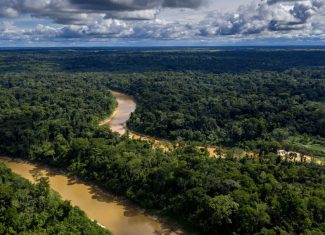 ICMBio tem 5 meses para fazer georreferenciamento na Resex Chico Mendes, determina Justiça
