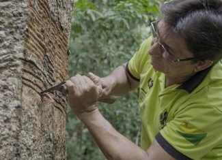 Presidente Lula visita Cooperacre, referência em bioeconomia e inclusão produtiva na Amazônia