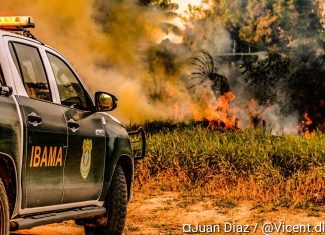 Acre suspende autorizações para queima controlada por seis meses devido à seca