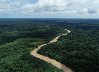 Governo do Acre é acionado na Justiça por regras que flexibilizam licenciamento ambiental