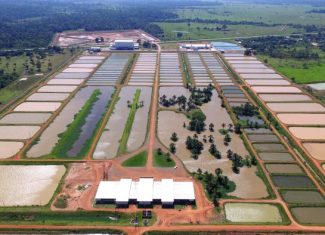 Justiça do Acre anuncia leilão do complexo industrial da Peixes da Amazônia, criado no governo Tião Viana