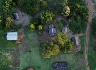 Demarcação de terras indígenas reduz impactos de queimadas e doenças infecciosas, aponta estudo