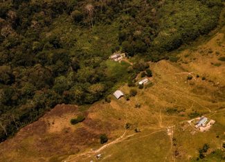 Desmatamento na Amazônia cai 41% em agosto, mas Acre lidera destruição e concentra áreas mais afetadas