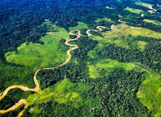 Acre registra menor taxa de desmatamento em oito anos, mas Inpe alerta para avanço da degradação florestal