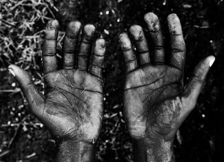 ‘Lista suja’ do trabalho escravo é atualizada com 159 novos nomes; 1,5 mil trabalhadores foram resgatados