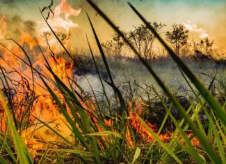 Brasil tem maior queda nas emissões de gases de efeito estufa em 16 anos, mas segue fora da meta climática