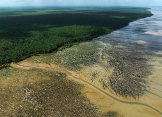 Vazamento em perfuração da Petrobras reacende alertas sobre riscos da exploração de petróleo na Foz do Amazonas