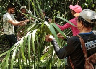 Acordo integra cultura e meio ambiente em territórios tradicionais com foco na Resex Chico Mendes no Acre