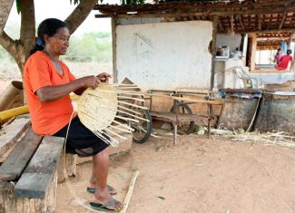 Inscrições para Comitê de Enfrentamento ao Racismo Ambiental seguem até 4 de março