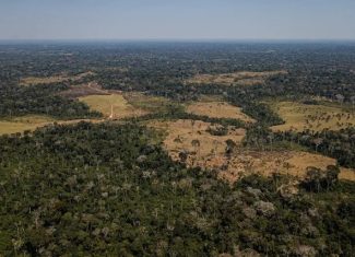 Dois homens são denunciados na Justiça por invasão e danos ambientais dentro da Resex Chico Mendes, no Acre