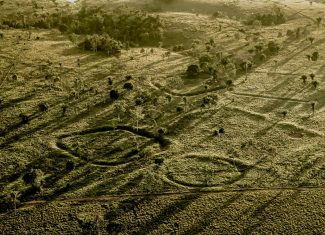 MPF firma acordos para reparar danos a geoglifos no Acre após plantio de soja em área arqueológica