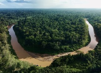 Justiça obriga governo do Acre e Imac a tornar públicos dados sobre licenciamento e infrações ambientais