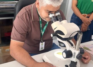 Governo convoca 33 aprovados do cadastro de reserva do Idaf para exames médicos e entrega de documentos