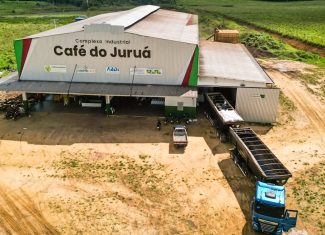 Cooperativa do Juruá abre mercado para café acreano no Sul e Sudeste e impulsiona agricultura familiar
