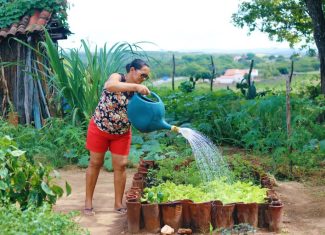PAA completa 23 anos como política estratégica de combate à fome e fortalecimento da agricultura familiar