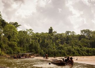 MPF aciona Justiça para exigir atualização de plano de proteção da Terra Indígena Alto Rio Purus, no Acre