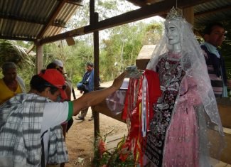 “Alma do Bom Sucesso”, a santa da floresta