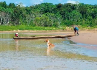 The Bubuias lança primeira música autoral em show nesta sexta-feira em Rio Branco